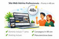 Sito web vetrina professionale – Pronto in 48 ore